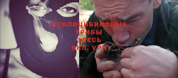 соль курить ск Медвежьегорск