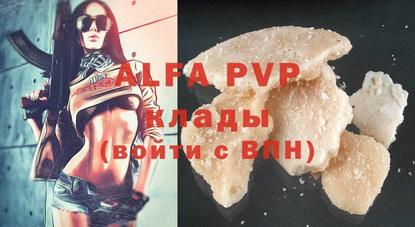 дживик Майский